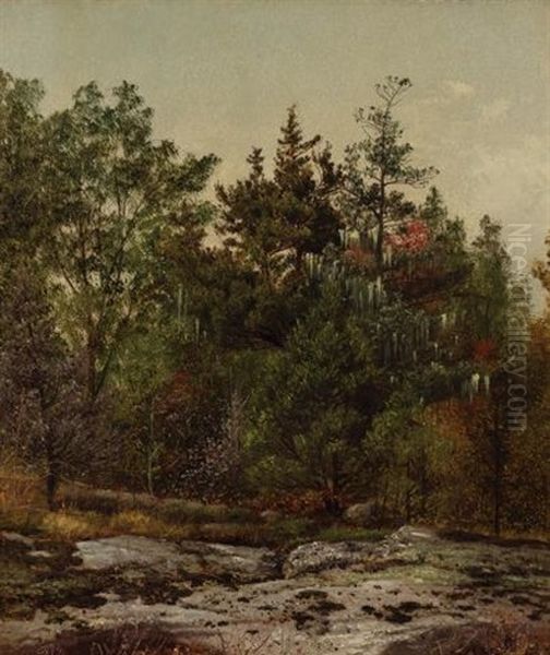 Ramapo, New York - view 1