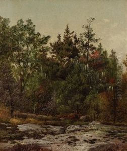 Ramapo, New York by David Johnson