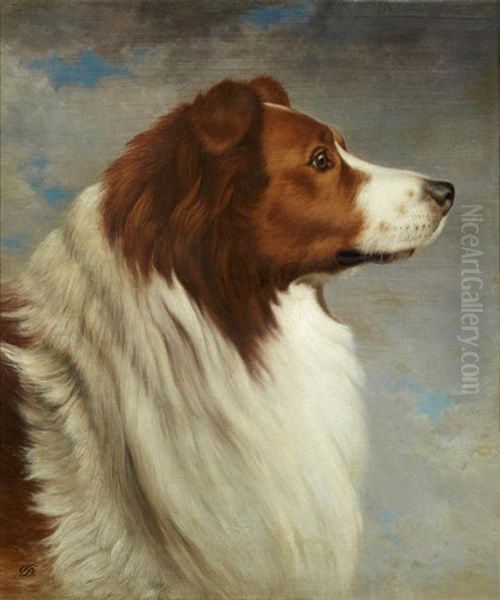 Collie Head - view 1