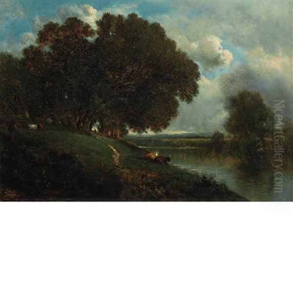 Cattle Resting Along A Riverbank - view 1
