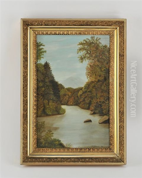 Adirondack River Landscape - view 1