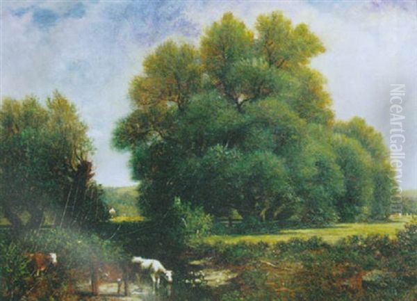 Cattle Watering In A Stream - view 1