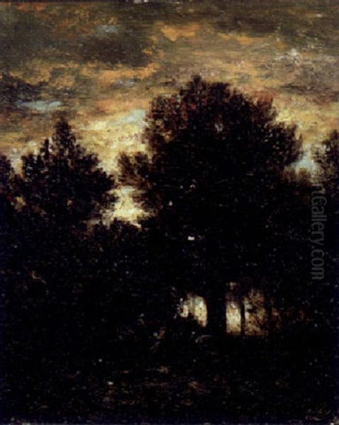 Forest Landscape - view 1