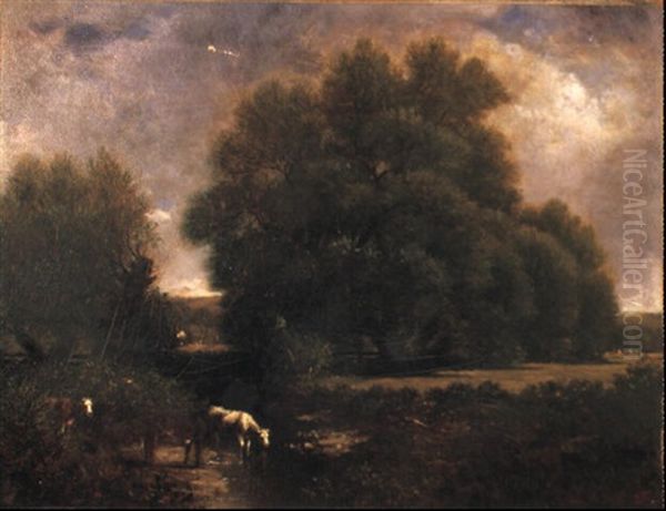 Cows At The Watering Hole - view 1