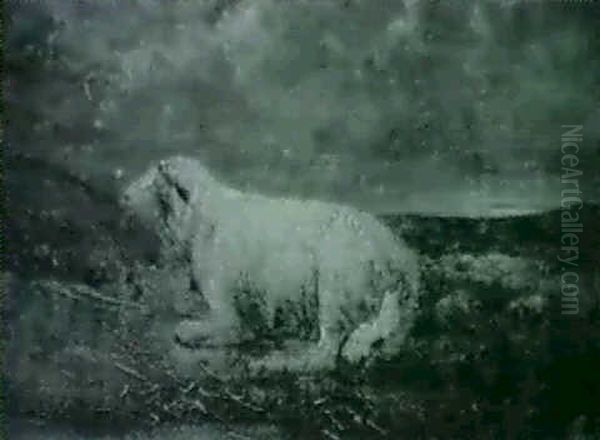 Sheep Portrait - view 1