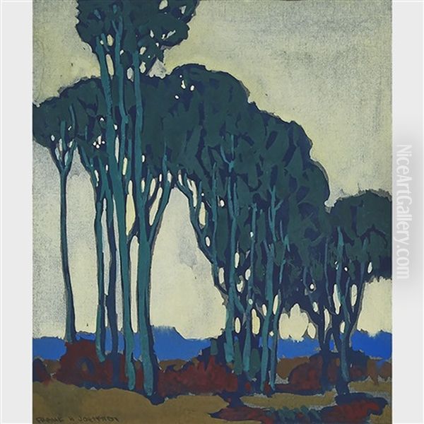Old Elms - view 1