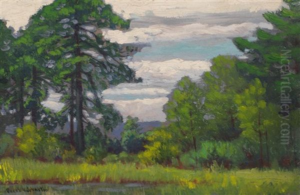 Summer Landscape - view 1