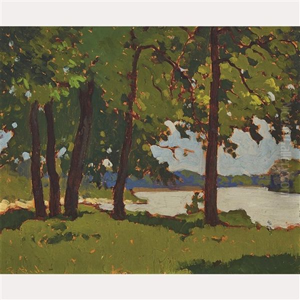 Shoreline - view 1