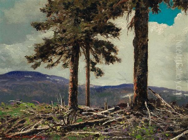 In The Laurentians - view 1