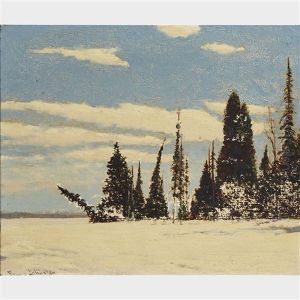 The Silent Land