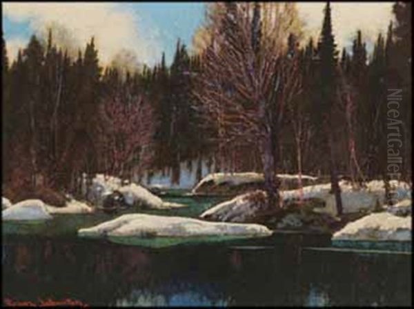 Passing Of Winter - view 1