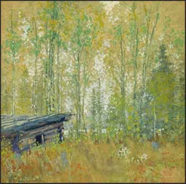 Trapper's Old Shack, Good Fish Lake, Swastika District - view 1