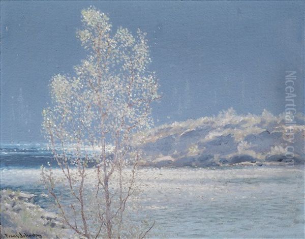 Sunlit Gloom - view 1