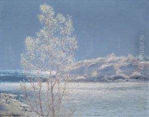 Sunlit Gloom by Francis Hans Johnston