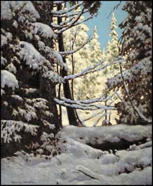 Snow Laden, Northern Ontario - view 1