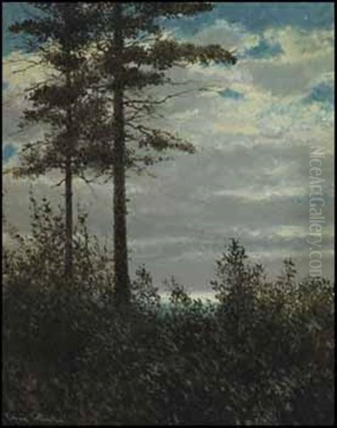 Night O'dreams - view 1