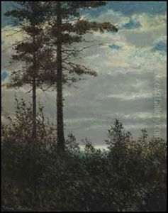 Night O'dreams by Francis Hans Johnston
