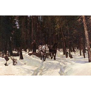 The Silent Places by Francis Hans Johnston