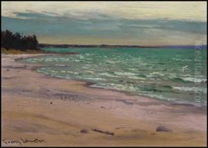 The Lone Gull, Georgian Bay