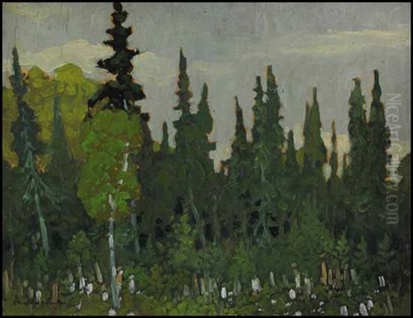 Algoma Tapestry - view 1