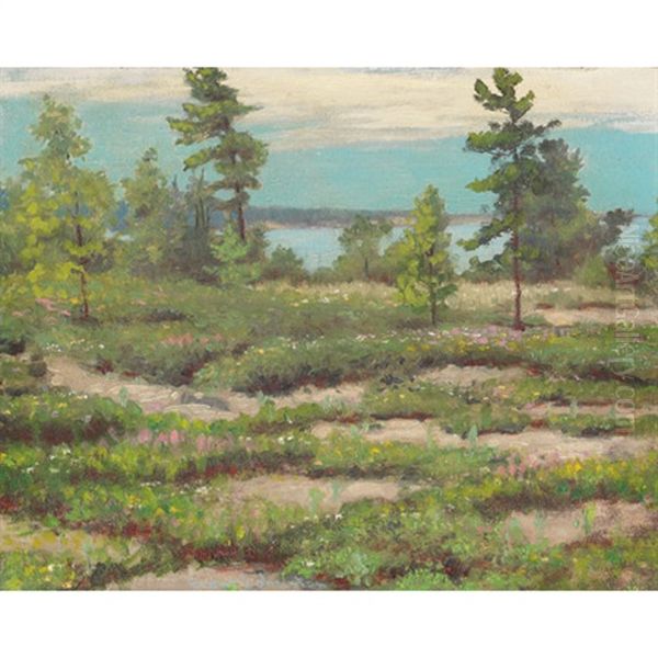 Veiled Light, Georgian Bay - view 1