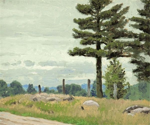 Road Near Midland, Ontario - view 1