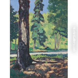 Sun Through The Trees by Francis Hans Johnston