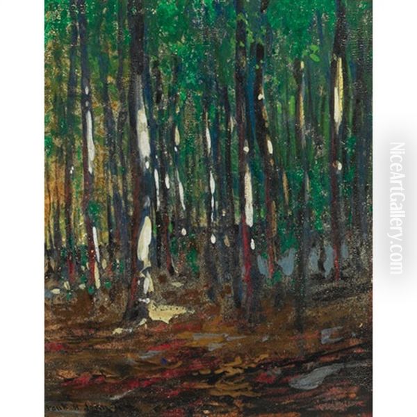Sugar Maples - view 1
