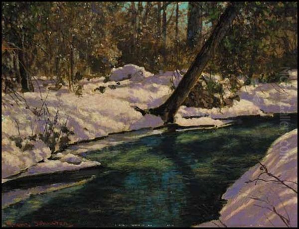 A Woodland Pool - view 1