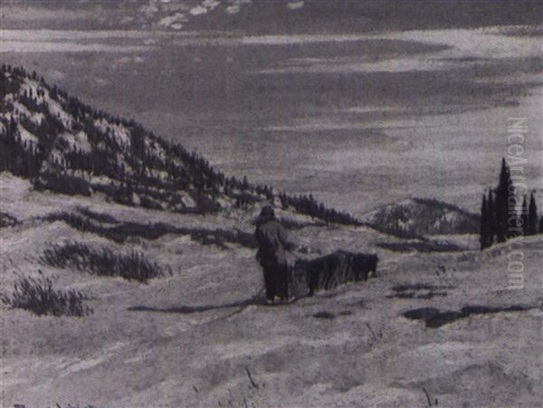 The Doctor In The North - view 1