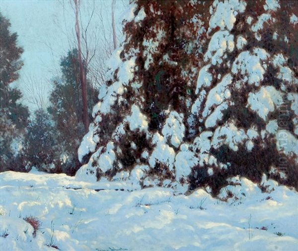 Northern Snow, Late Afternoon Glow - view 1