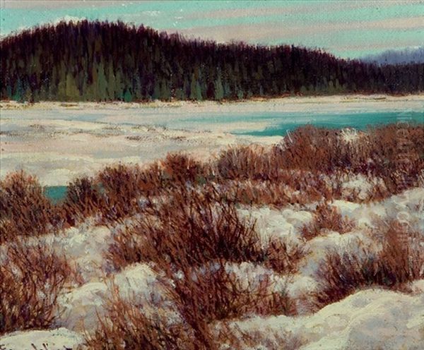 Cariboo Creek - view 1