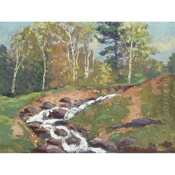 Rushing Stream - view 1