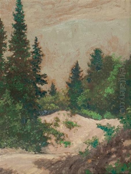 Hazy Day (georgian Bay) - view 1