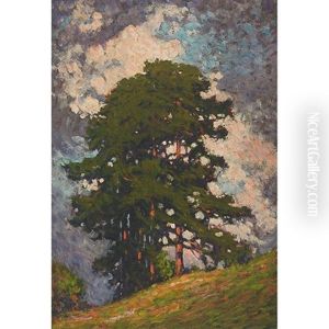 Tree On A Hill by Francis Hans Johnston