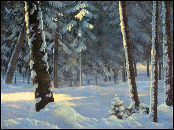 Sunlit Trees In Winter - view 1