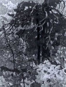 Lake Of The Woods by Francis Hans Johnston