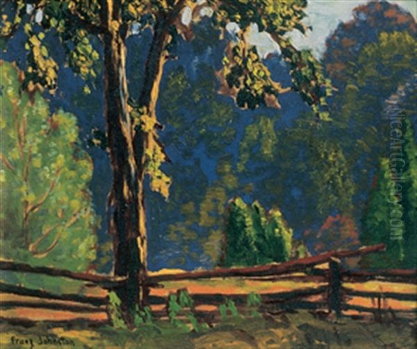 Split Rail Fence And Glade - view 1