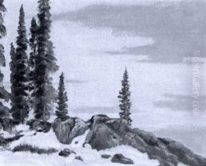 Rocks At Cameron Bay, Great Bear Lake by Francis Hans Johnston