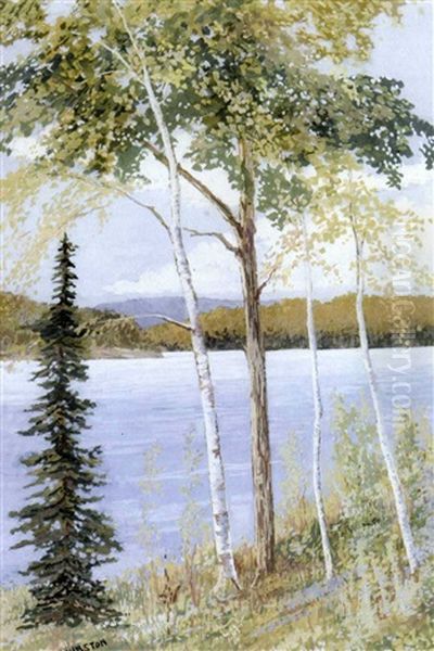 Lakeside Birches - view 1