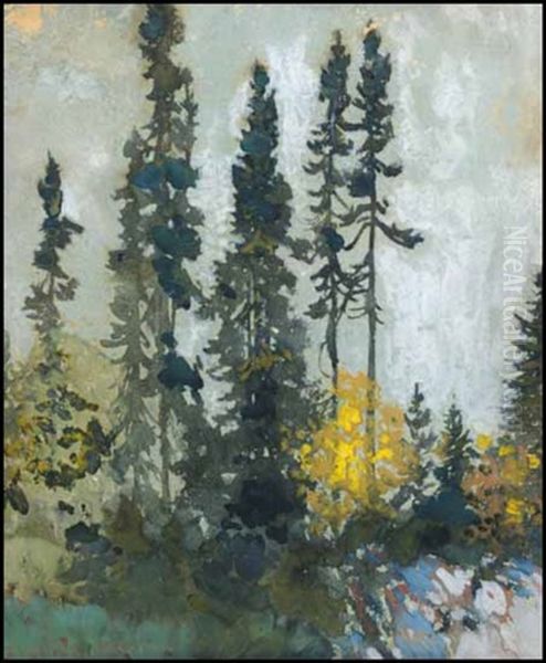 Algoma Landscape - view 1