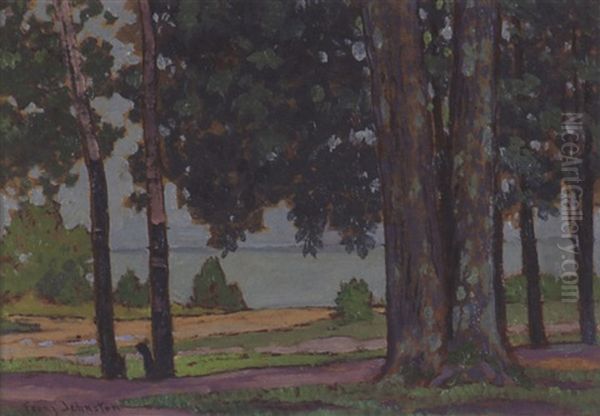 View Of Lake Through The Trees - view 1