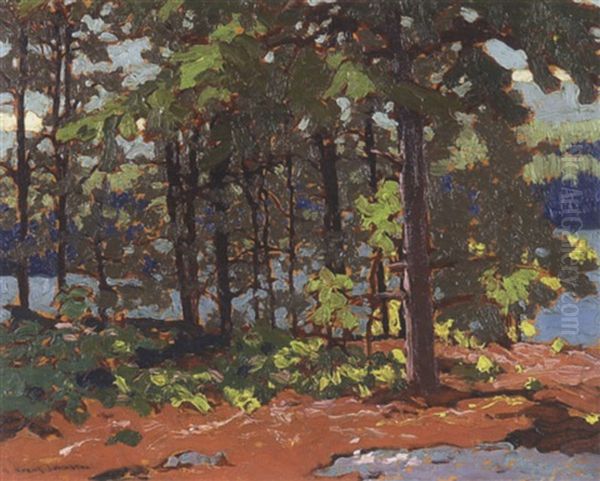 Arabesque, Lake Of The Woods - view 1