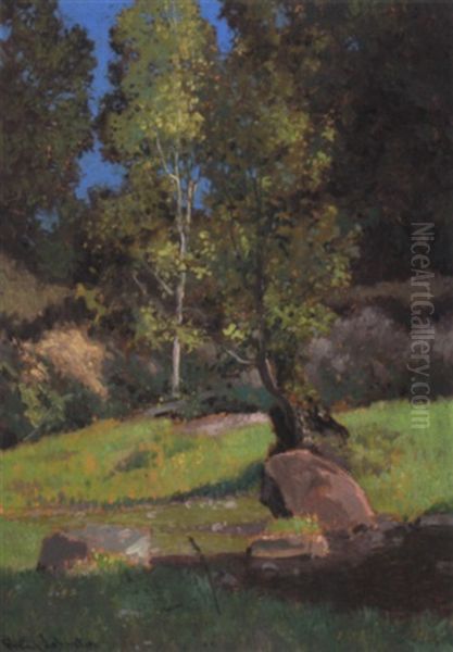 The Laughing Valley - view 1