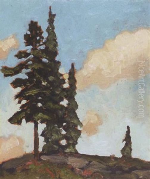 Trees - view 1