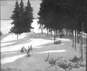Shadowed Snow Shadowed Snow
