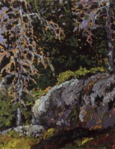 Lichen, Lake Of The Woods by Francis Hans Johnston