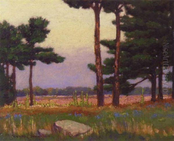 Coming Rain - view 1