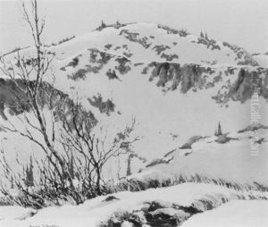 Accross The Gulch At Great Bear Lake, Eldorado, N.w.t.