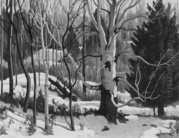 Trees In Winter - view 1